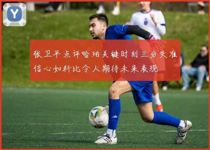 张卫平点评哈珀关键时刻三分失准信心如科比令人期待未来表现